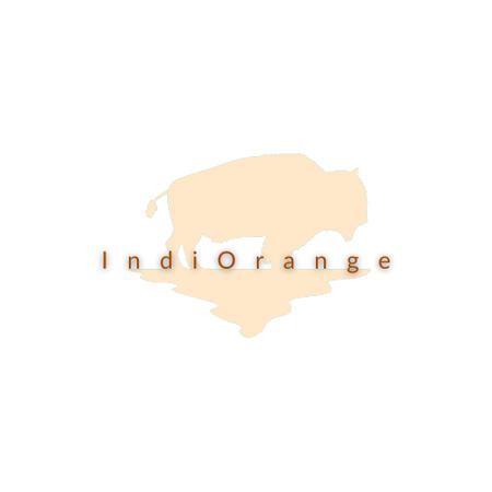 IndiOrange logo. A soft orange tatanka silhouette (with a turquoise-colored outline). Our name, IndiOrange, is written across